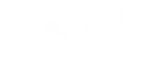 Phoenix Innovative Strategies